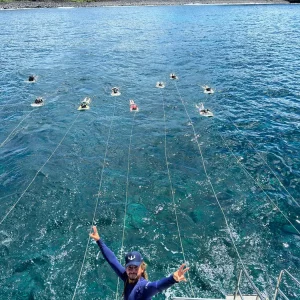 Passeio de Catamarã com Almoço TROVÃO DOS MARES